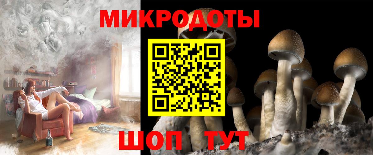 Отрадный  Псилоцибиновые грибы Psilocybe  Вход с VPN 