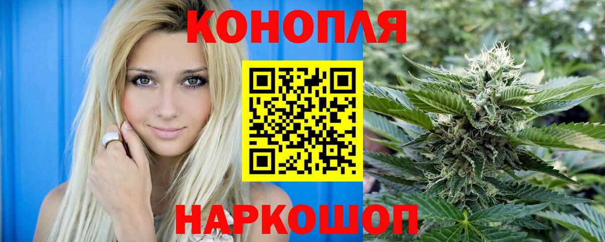 Конопля SATIVA & INDICA  Конопля White Widow  Отрадный  Вход с VPN 